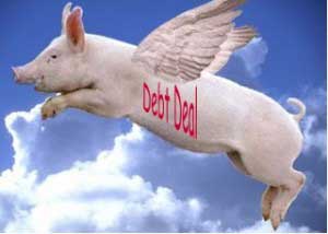 Debt Deal Pig